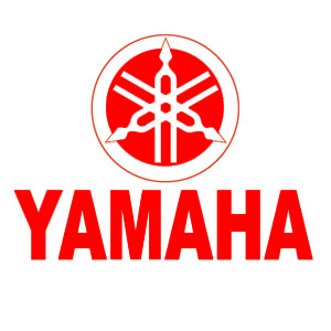 Instrukcja obsługi - system Yamaha
