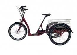 Trójkołowy rower elektryczny Geobike EcoEDITION MAXI