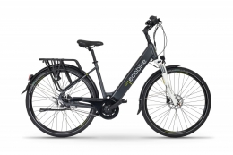 Rower elektryczny EcoBike LX 19"