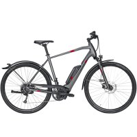 PEGASUS Solero E9 Sport Cross Street