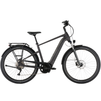 PEGASUS Savino EVO 10 CX