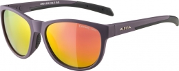 Okulary przeciwsłoneczne Alpina Nacan II
