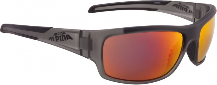 Okulary przeciwsłoneczne Alpina Testido