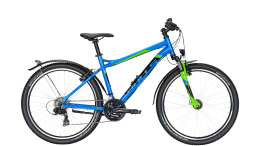 SHARPTAIL STREET 1 26