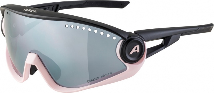 Okulary Alpina 5W1NG CM+