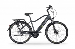 Rower elektryczny EcoBike MX 20"