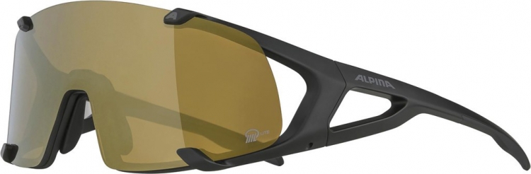 ALPINA Okulary słoneczne Hawkeye S Q-Lite - czarny/brązowy, fogstop