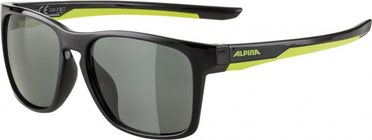 Okulary Alpina Flexxy Cool dziec. I