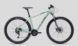 Rower MTB CTM RAMBLER 1.0 29"