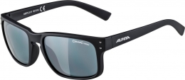 Okulary Alpina Kosmic