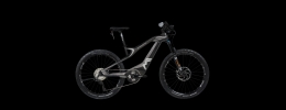 Sterzing Evolution CC S-Pedelec
